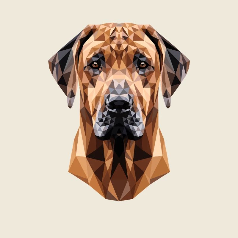 Rhodesian Ridgeback Jagdhund Hunde Stolz Ridgeback