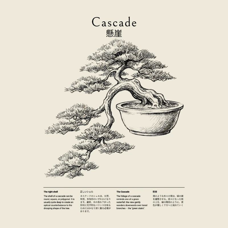 Bonsai Cascade Style with Japanese Characters