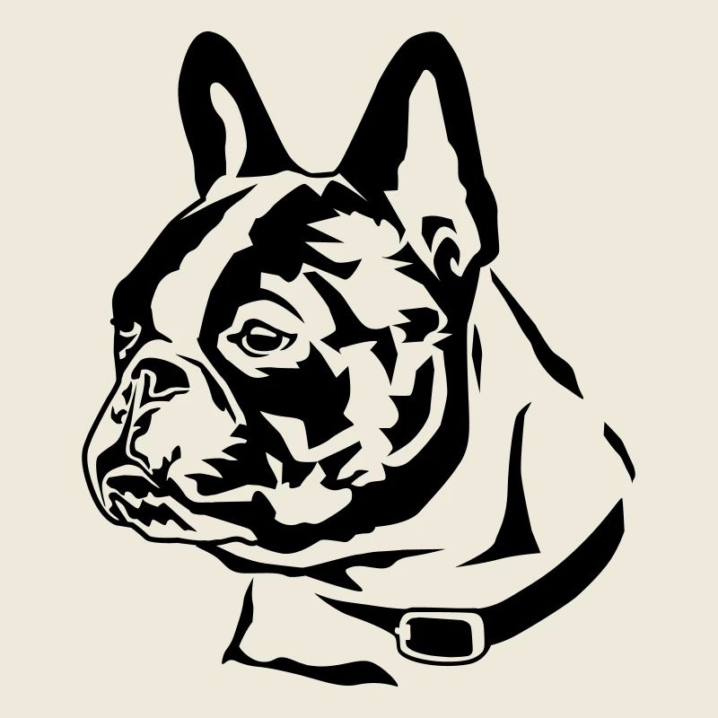 french_bully_head_01