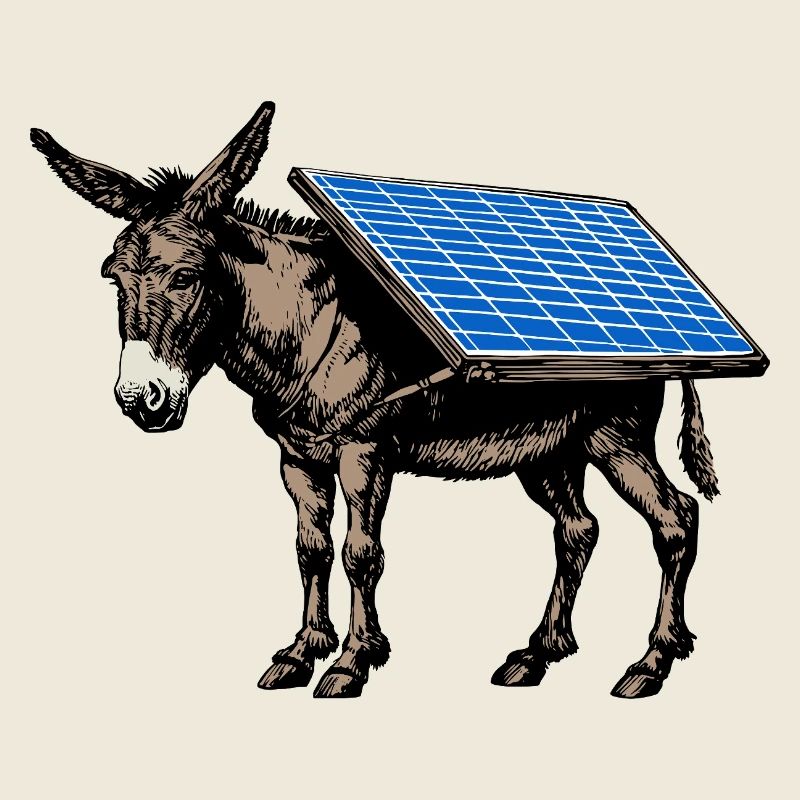 Solar - Esel - Lasttier, Packesel, Solarpanel