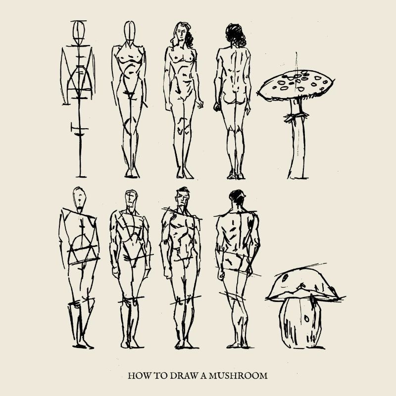 comment dessiner un champignon / champignons / Art