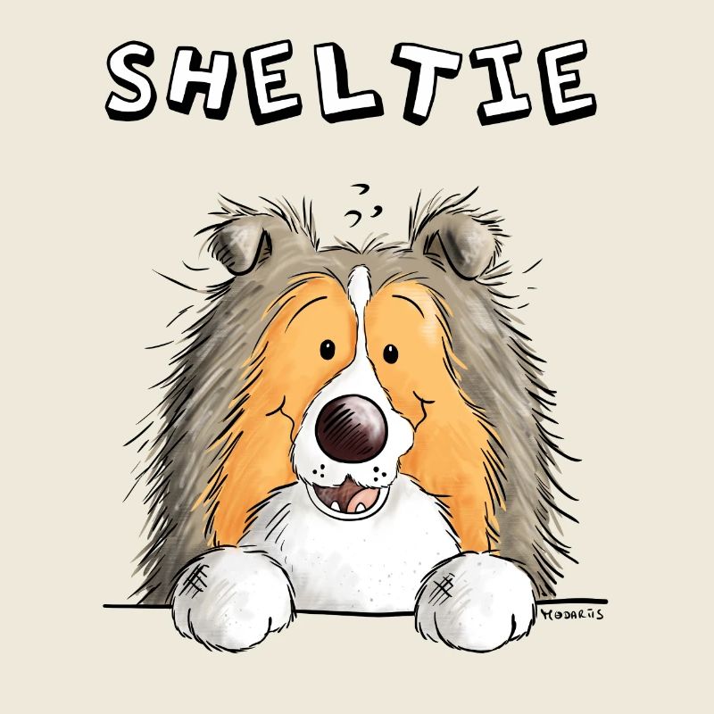Neugieriger Sheltie