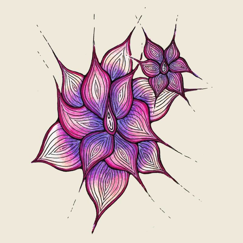 Vulva Blume
