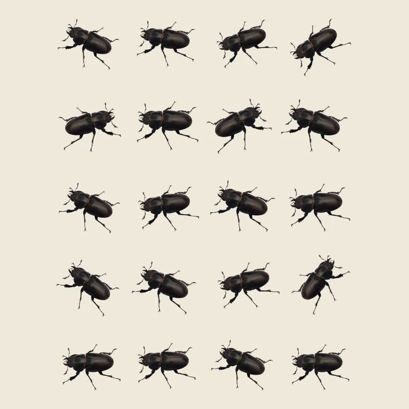 Stag Pattern