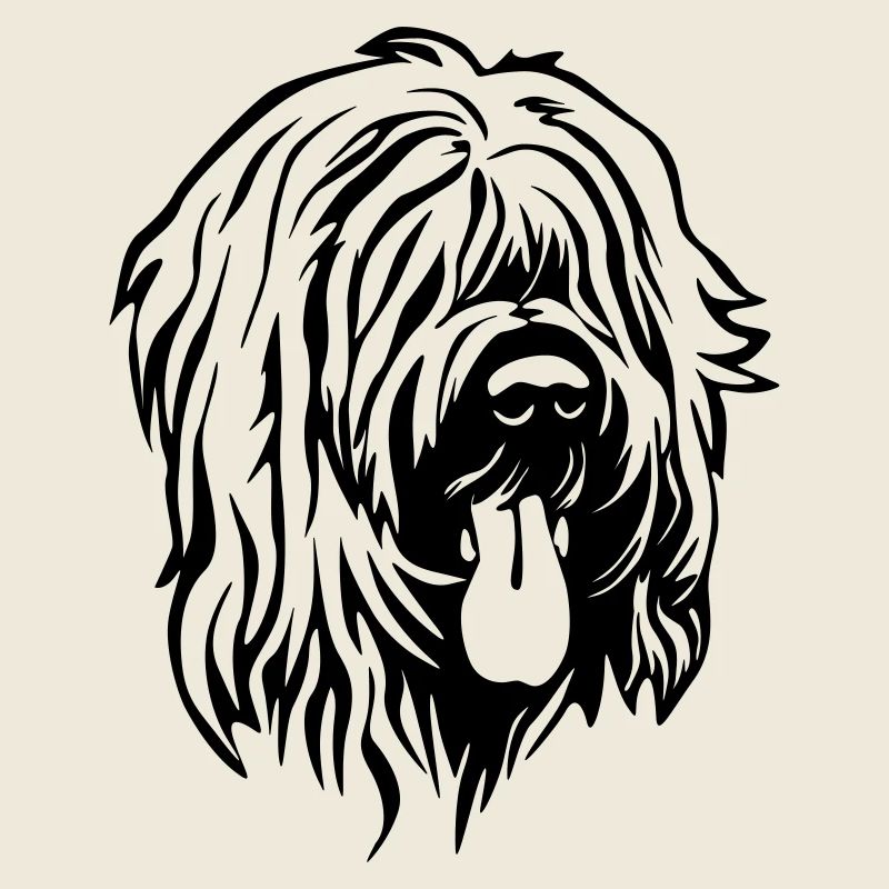 Briard Kopf