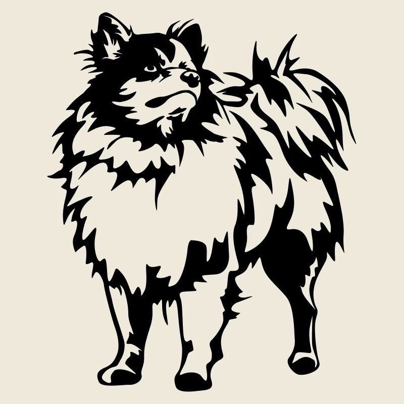 Spitz