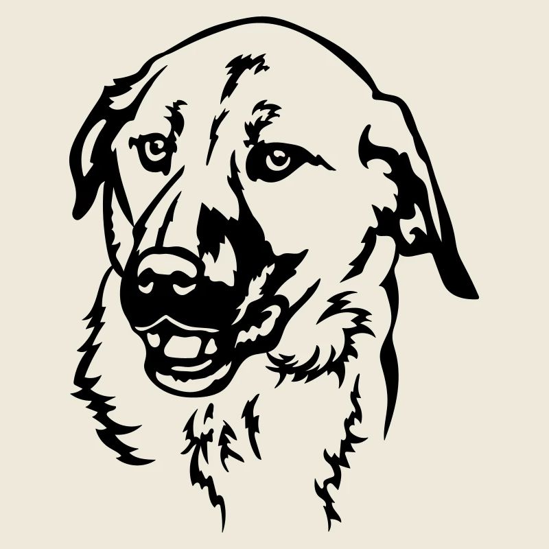 Kangal Kopf