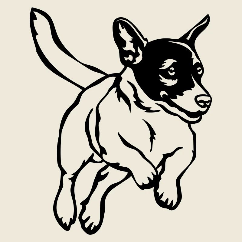 Jack Russell Terrier