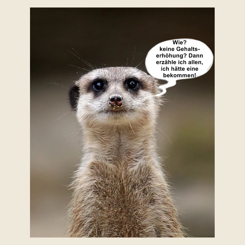 Erdmännchen