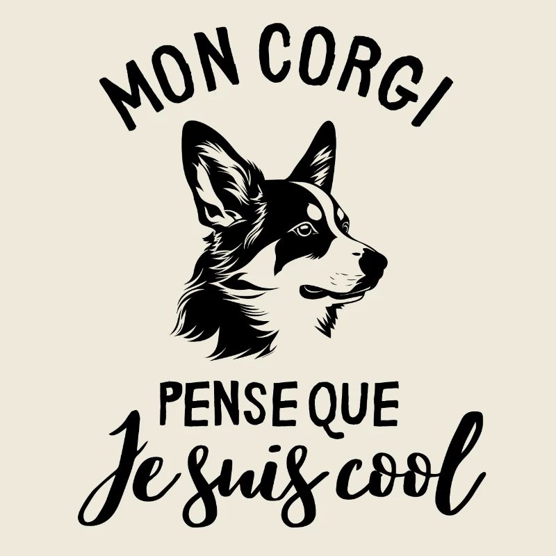 Corgi chien doux éducation canine