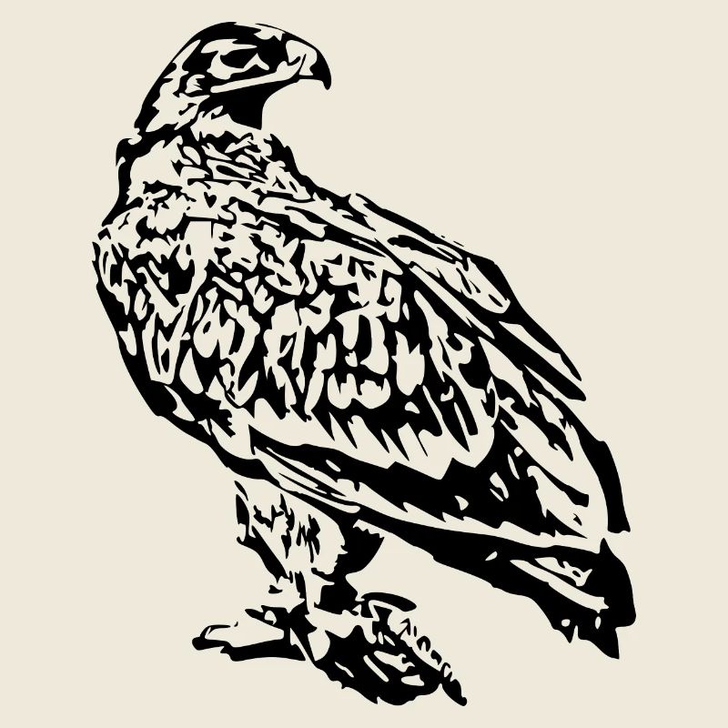 Peregrine falcon bird predator