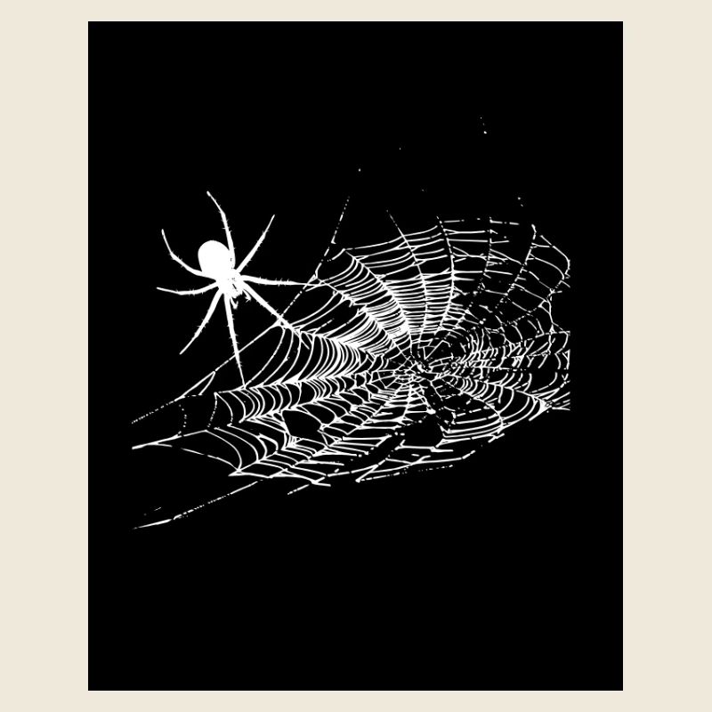 araignée