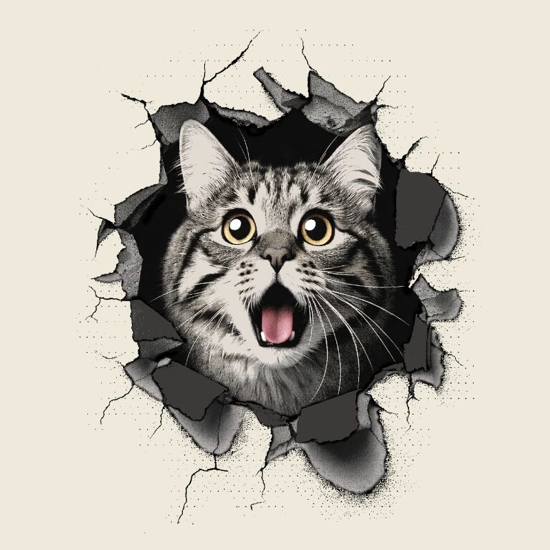 Chat effrayé, fissures de mur