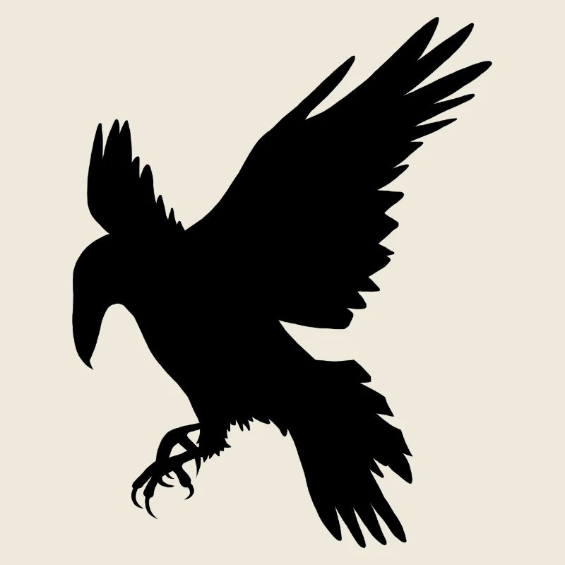 Schwarzer Rabe