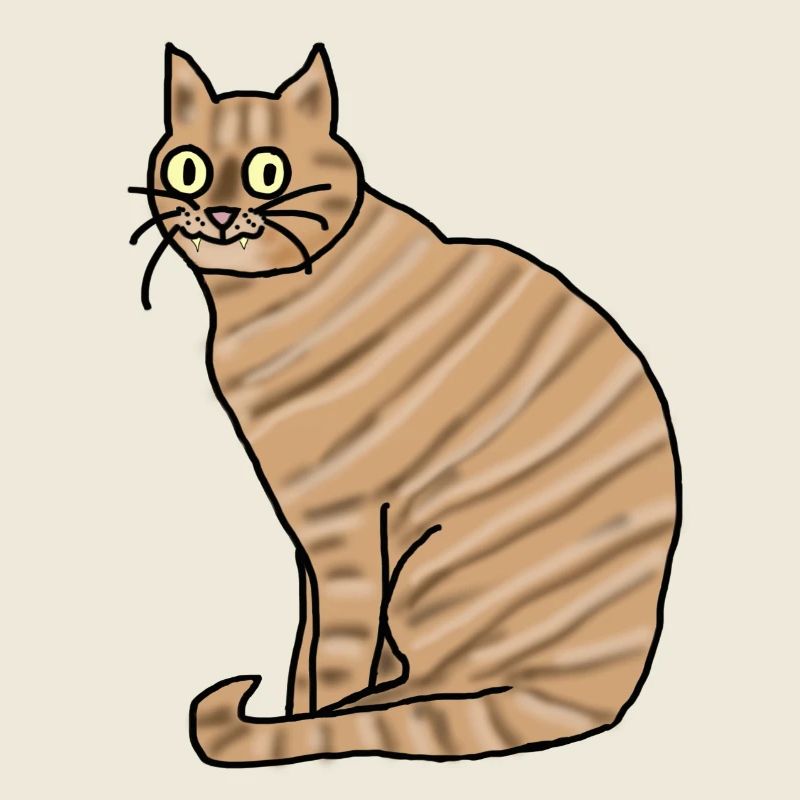 Katze