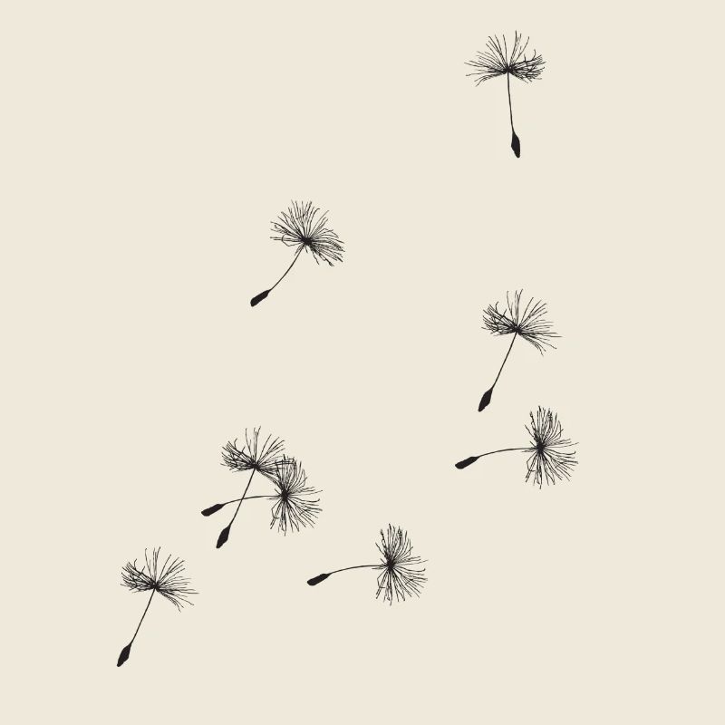 Flugschirme der Pusteblume. Geschenk