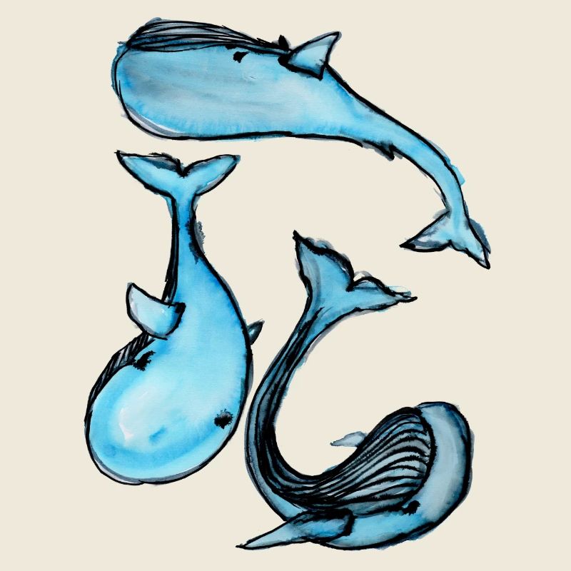 Baleine