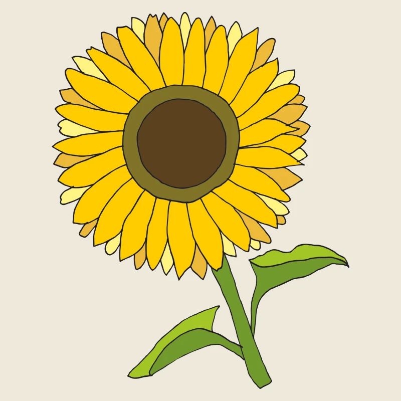 tournesol
