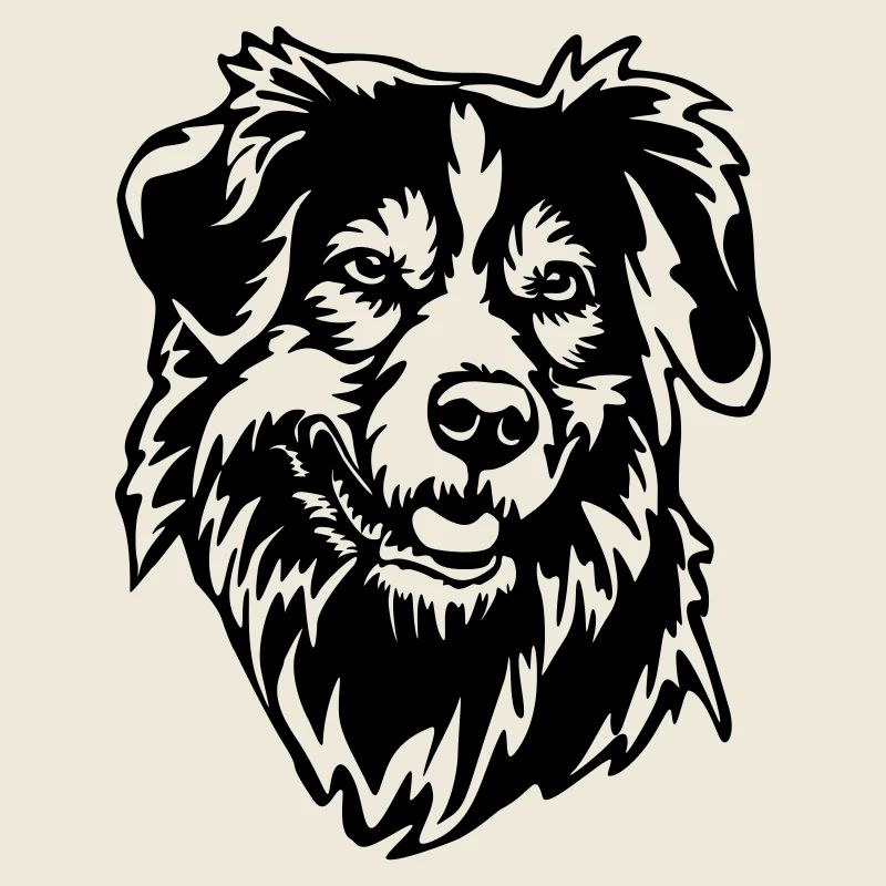 Australian Shepherd Kopf