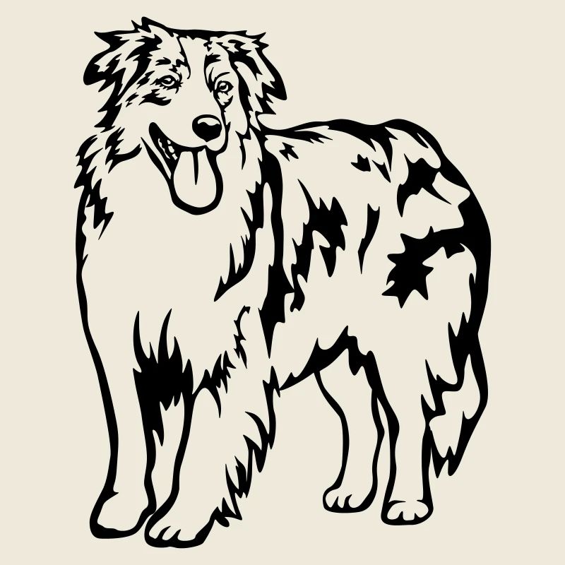 Australian Shepherd