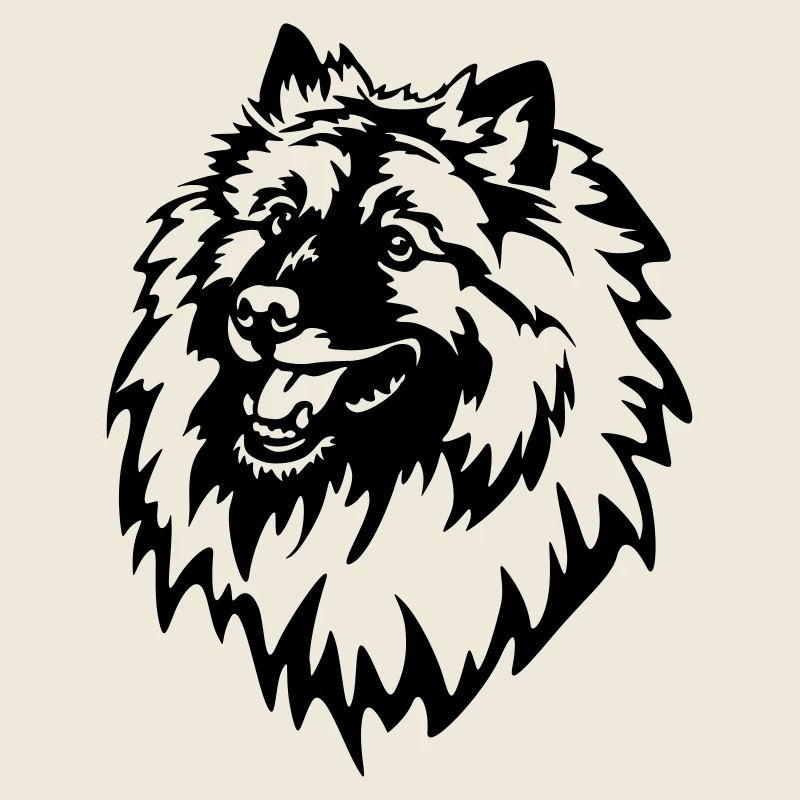 Wolfsspitz Kopf