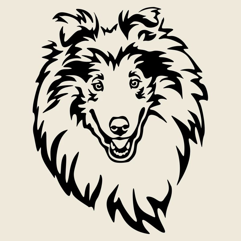 Collie Kopf
