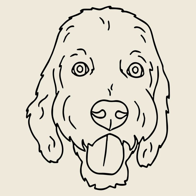 chien