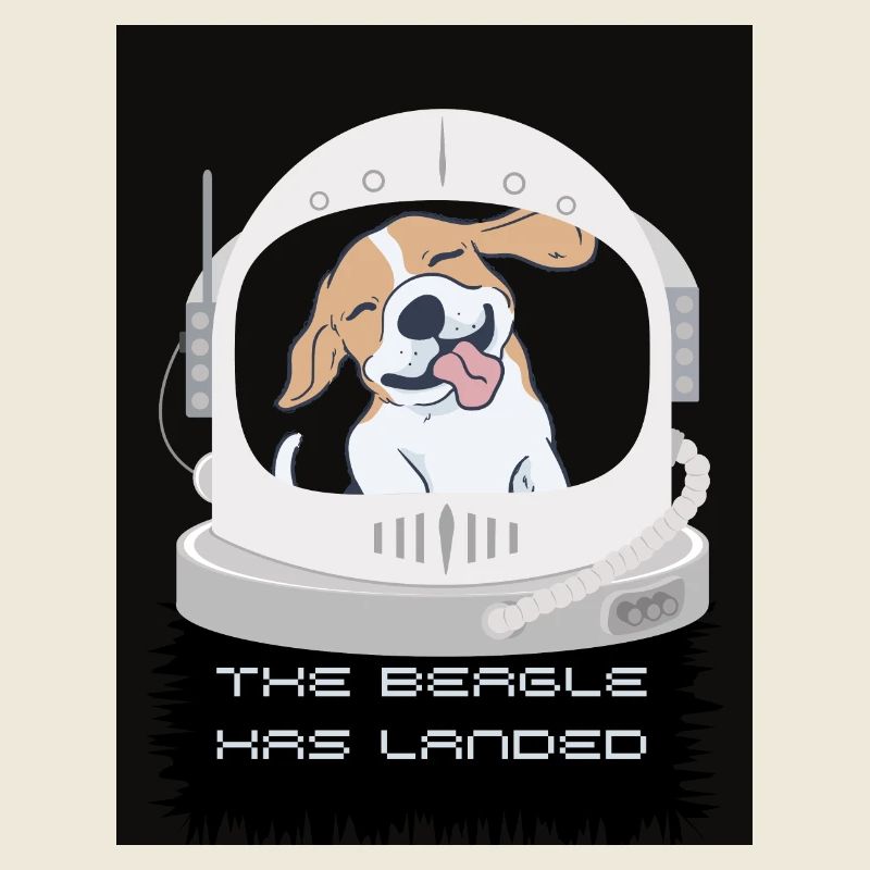 Le Beagle a atterri