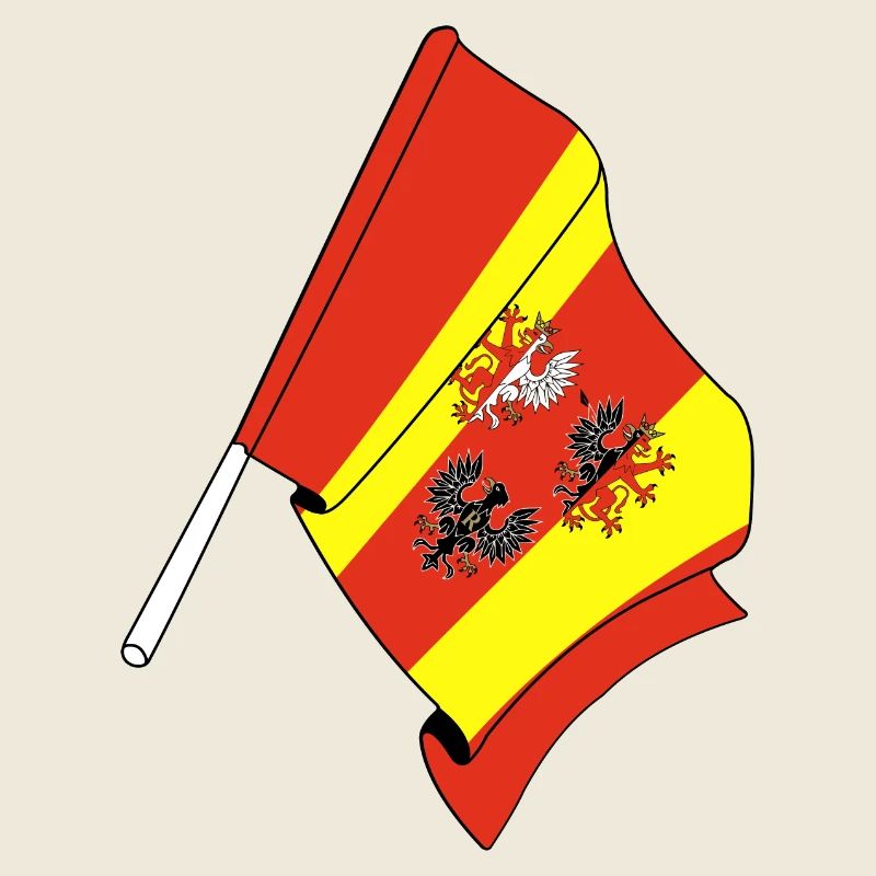 Drapeau : Lodz, Pologne