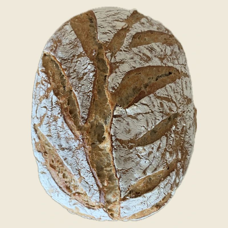 Rustic Sourdough Bread Illustration