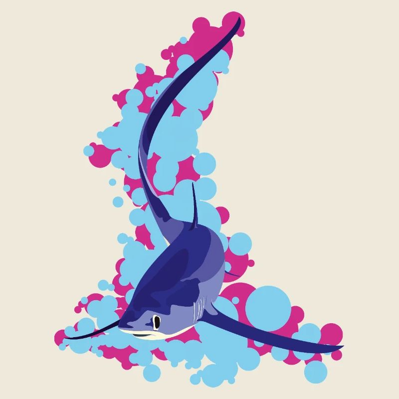 Requin-renard (Alopias supersiloucus)