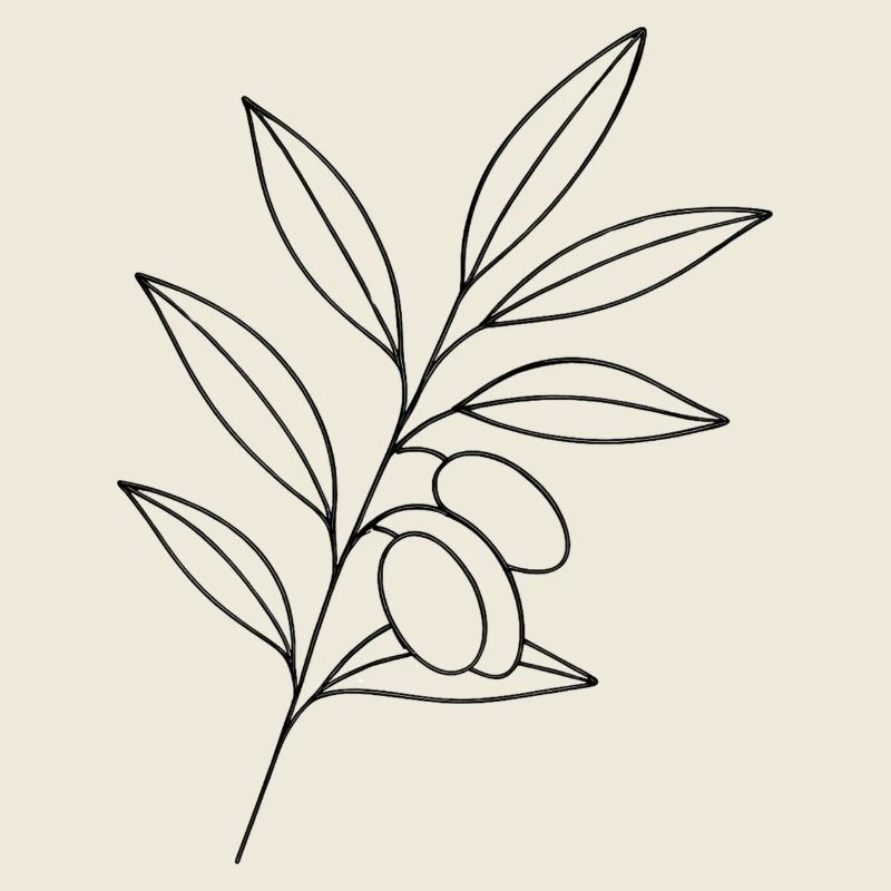 Olive Branch Line Art