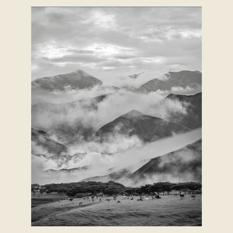 Montagnes dans un brouillard noir et blanc