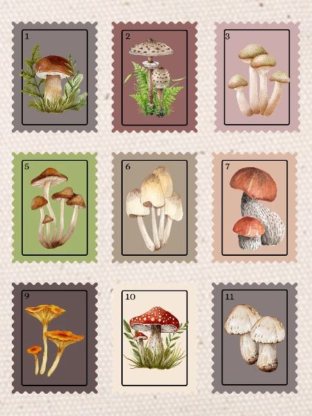 Mushroom Design