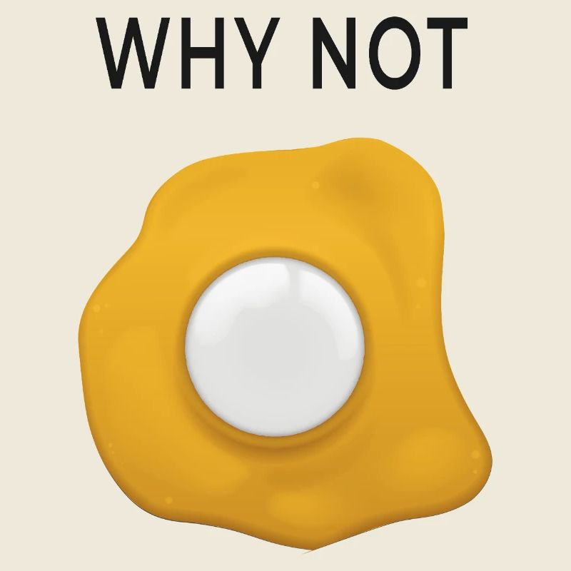 Why Not Rethinking Fried Eggs
