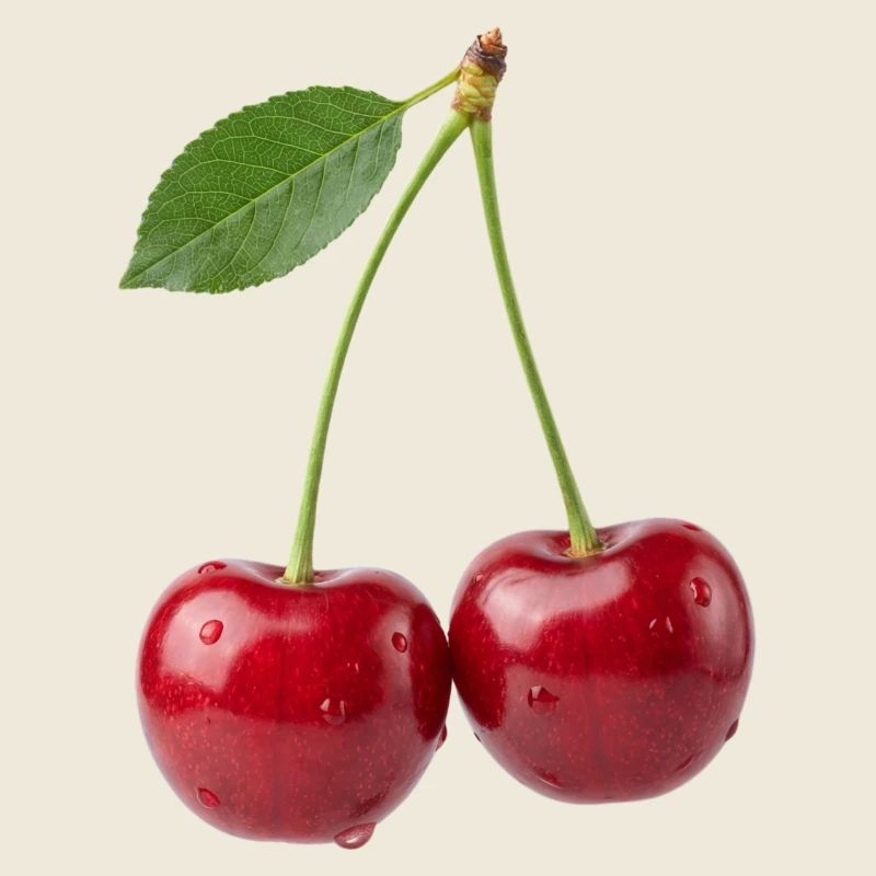 Kirsche Kirschen Cherry Shirt, sweat à capuche, short