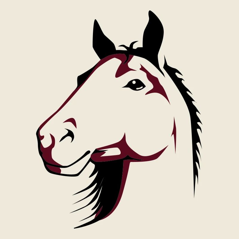Pferd | Horse | Pferdekopf | reiten