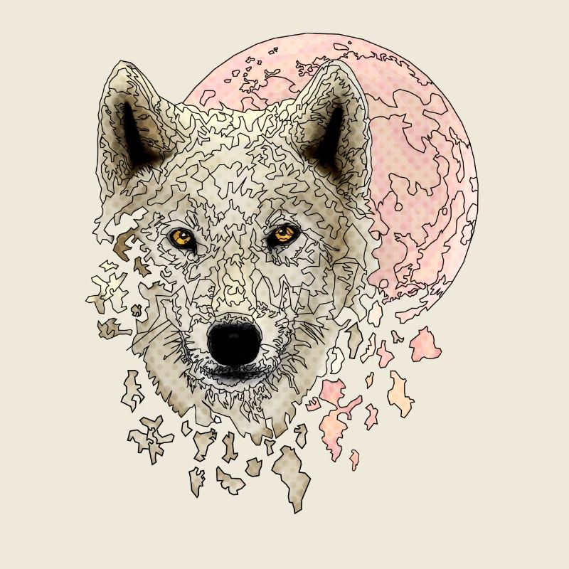 Wolf weiß