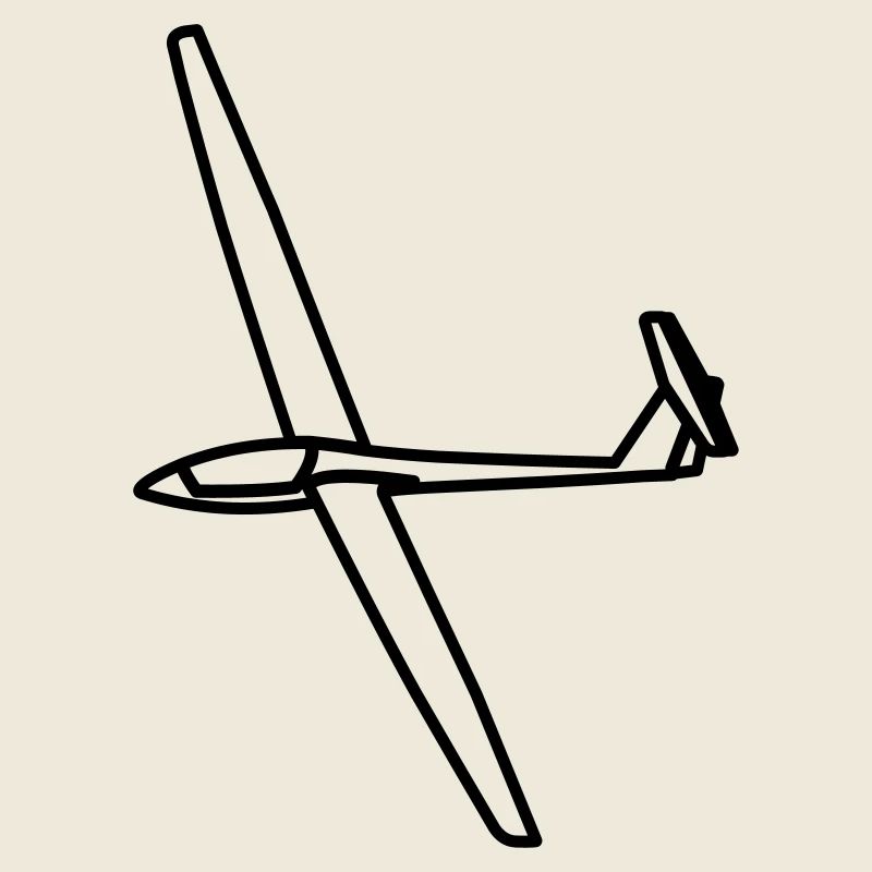 Segelflugzeug LS4 Geschenk