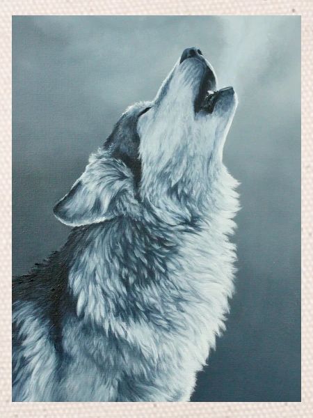 Grey Wolf