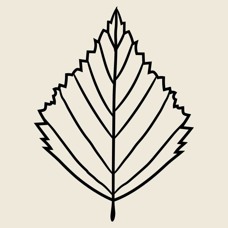 silhouette birch leaf tree plant shape clip art desig