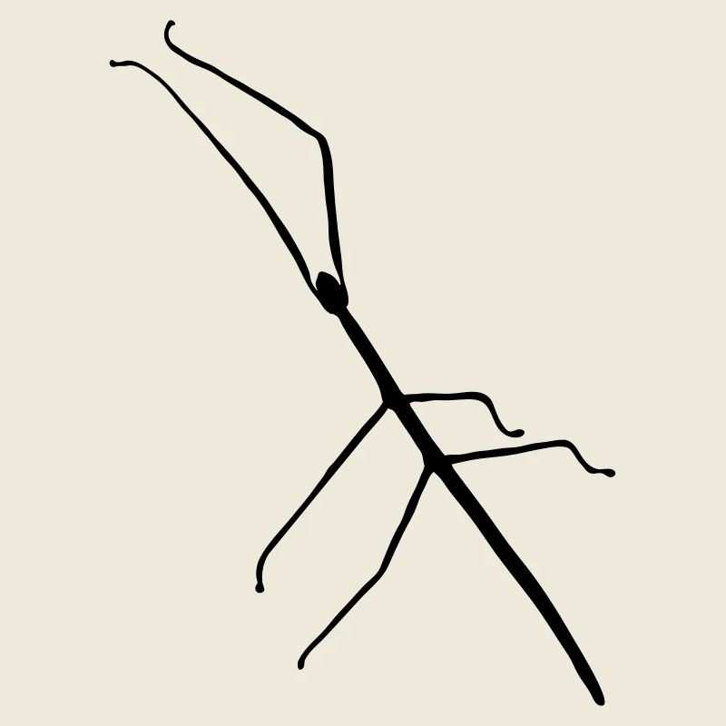 stick_ insect_s1