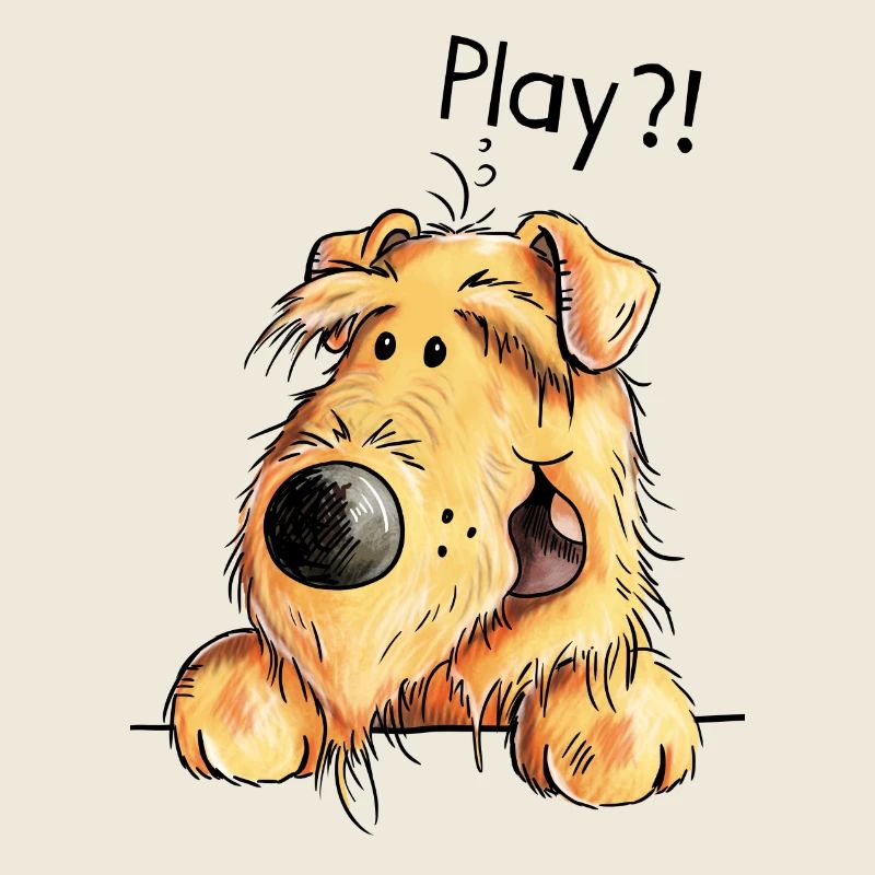 Verspielter Airedale Terrier - Welsh Terrier - Dog