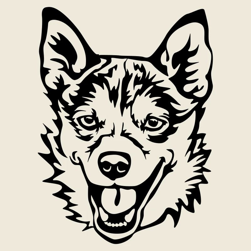 Norwegischer Lundehund