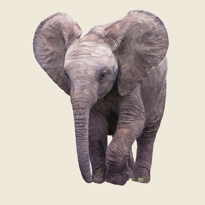Elefäntchen
