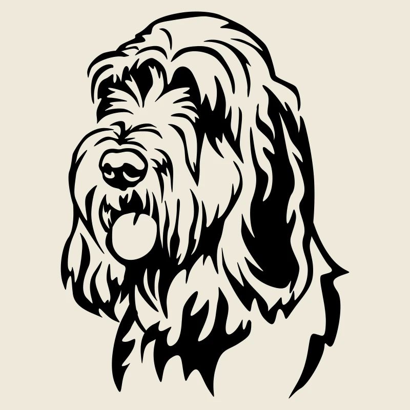 Spinone Italiano Kopf