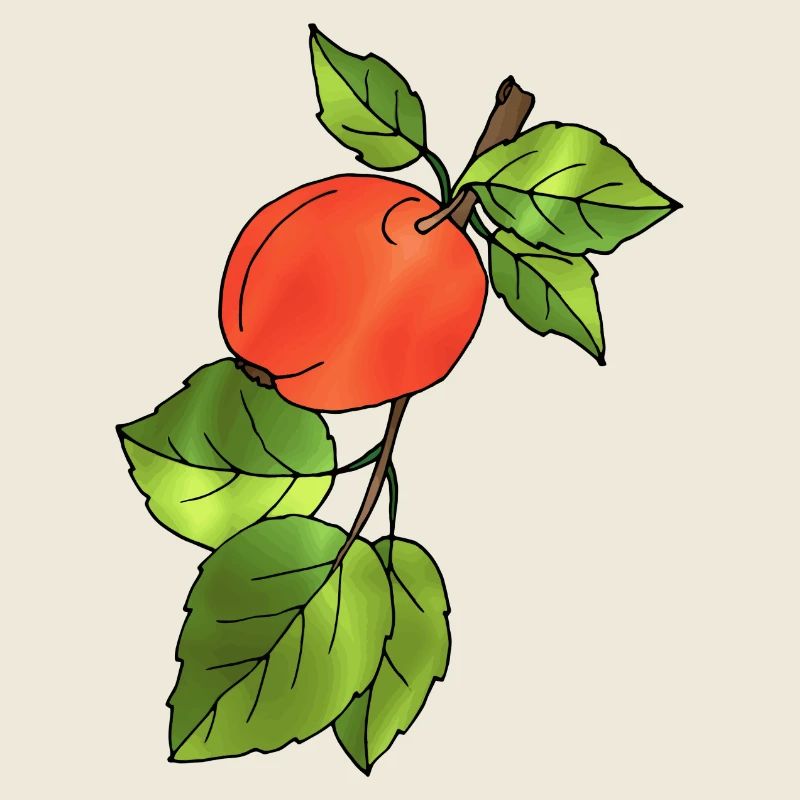 Apfel