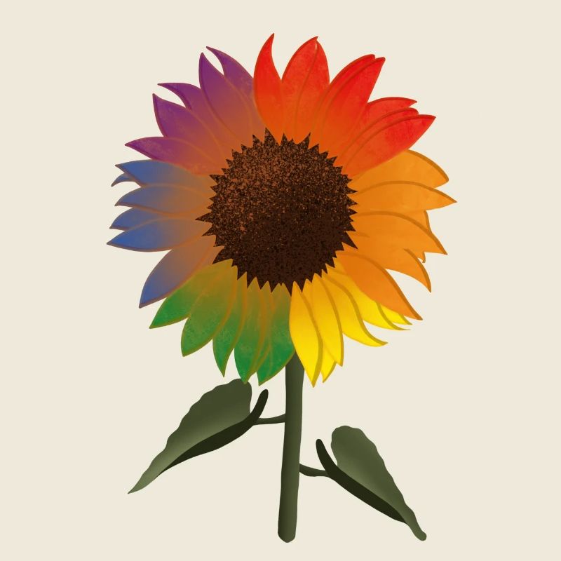 Pride Sonnenblume