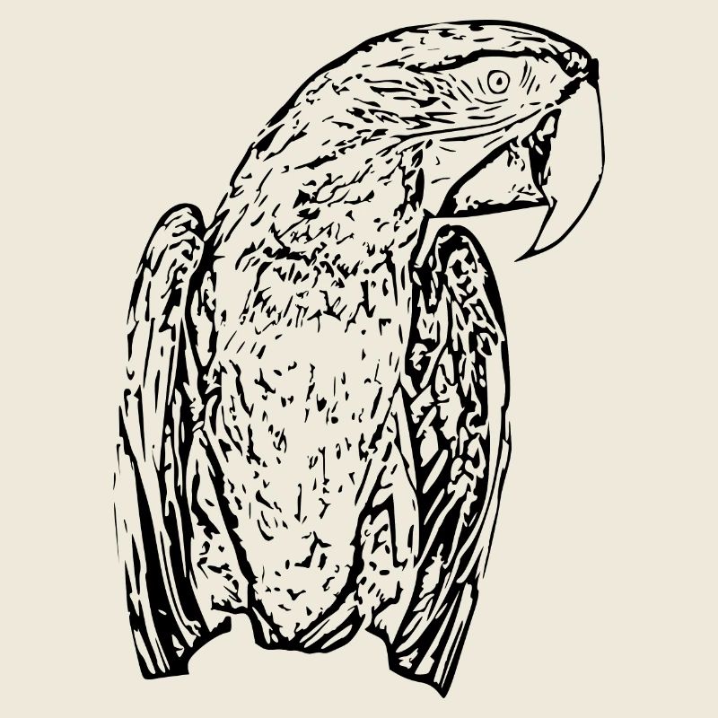 Papageien