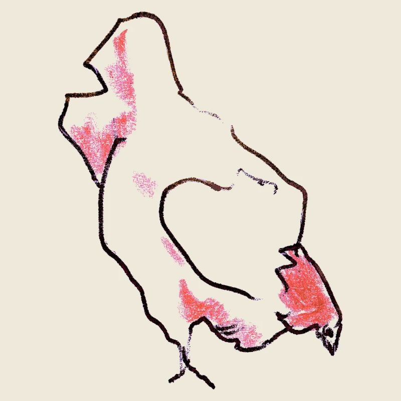 Huhn - Henne